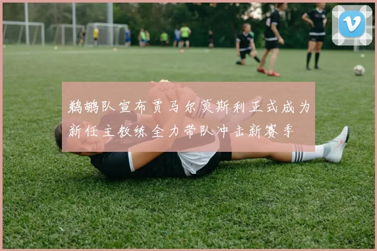 鹈鹕队宣布贾马尔莫斯利正式成为新任主教练全力带队冲击新赛季